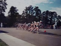 IMG 1371c