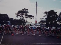IMG 1374c
